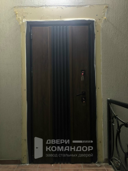 Входная металлическая дверь в коттедж