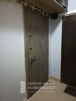 Входная дверь Stardis Expert  с тремя замками, с расширением проёма (Типовая серия П3/16)