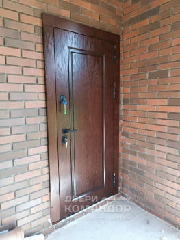 Входная дверь терморазрыв  шпон / эмаль на заказ