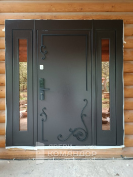 Входная дверь Stardis Termo  с боковыми и фрамугами со стеклопакетами, с ковкой, с биометрическим замком
