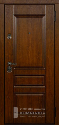 Дверь входная металлическая уличная в дом №33 - наружная сторона