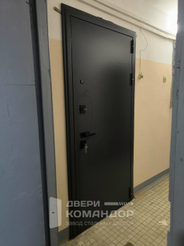 Чёрная входная дверь Беркут с зеркалом внутри