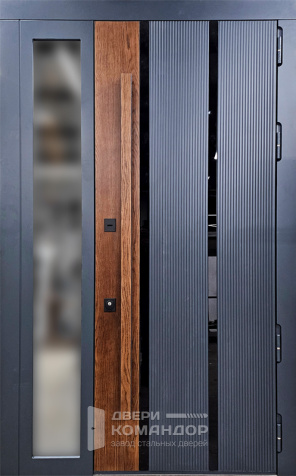 Входная дверь для дома со стеклом №29 - наружная сторона