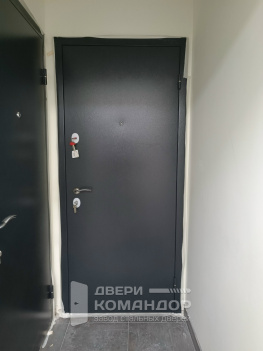 Металлическая входная дверь Torex Берн