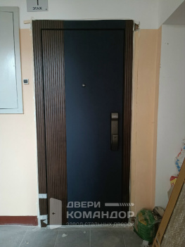 Входная дверь Stardis Trend  с биометрическим замком