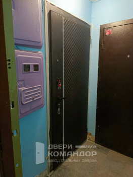 Входная дверь Берлога Тринити X10  Лия/Магнум зеркало с расширением проёма и обрезкой наличника (Типовая серия II-49/Ю вариант Д)